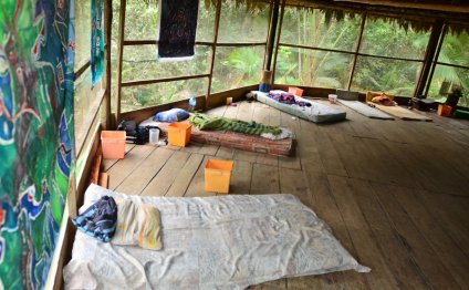 Peru Ayahuasca Tour