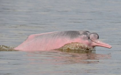 Best season to visit Peru