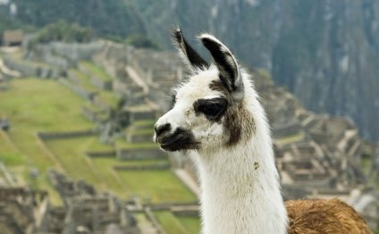 Peru Travel Packages reviews